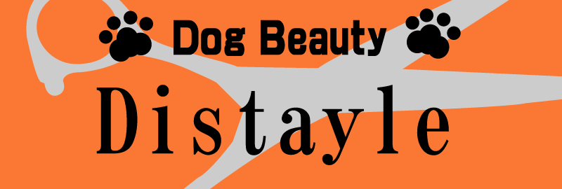 Dog Beauty Distayle